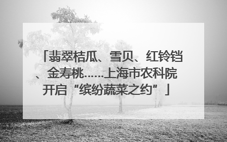 翡翠桔瓜、雪贝、红铃铛、金寿桃……上海市农科院开启“缤纷蔬菜之约”