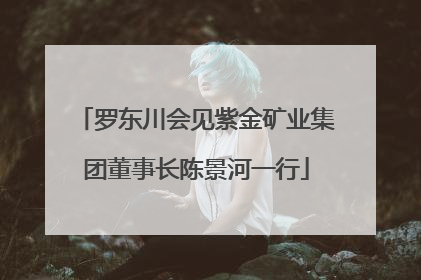 罗东川会见紫金矿业集团董事长陈景河一行