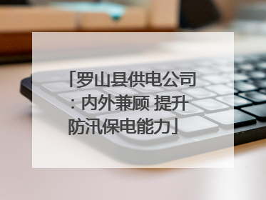 罗山县供电公司：内外兼顾 提升防汛保电能力