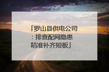 罗山县供电公司：排查配网隐患 精准补齐短板