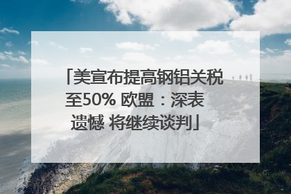 美宣布提高钢铝关税至50% 欧盟：深表遗憾 将继续谈判
