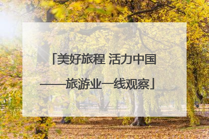 美好旅程 活力中国——旅游业一线观察