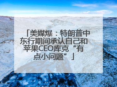 美媒爆：特朗普中东行期间承认自己和苹果CEO库克“有点小问题”