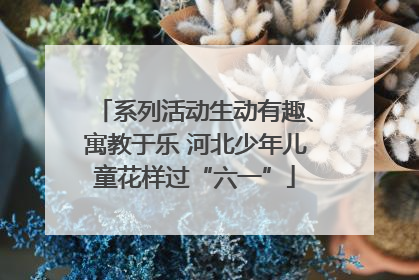 系列活动生动有趣、寓教于乐 河北少年儿童花样过“六一”
