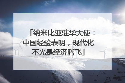 纳米比亚驻华大使：中国经验表明，现代化不光是经济腾飞
