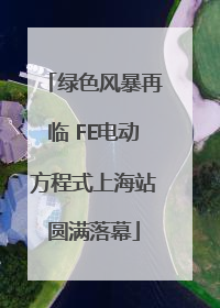 绿色风暴再临 FE电动方程式上海站圆满落幕