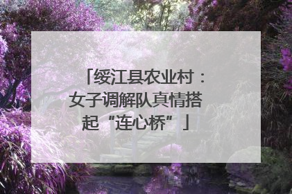 绥江县农业村：女子调解队真情搭起“连心桥”