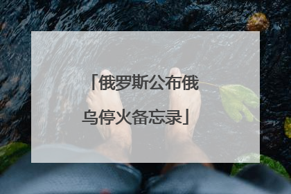 俄罗斯公布俄乌停火备忘录