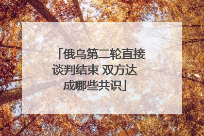俄乌第二轮直接谈判结束 双方达成哪些共识