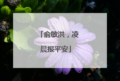 俞敏洪，凌晨报平安