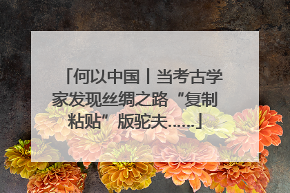 何以中国丨当考古学家发现丝绸之路“复制粘贴”版驼夫……