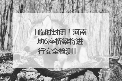 临时封闭！河南一地6座桥梁将进行安全检测