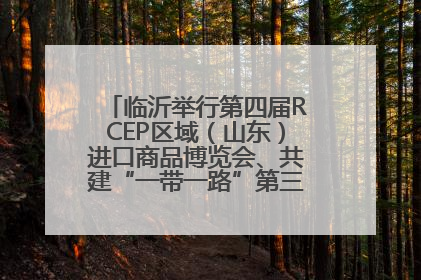 临沂举行第四届RCEP区域（山东）进口商品博览会、共建“一带一路”第三届临沂商城国际采购商大会新闻发布会