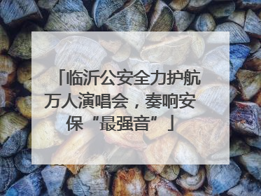 临沂公安全力护航万人演唱会，奏响安保“最强音”