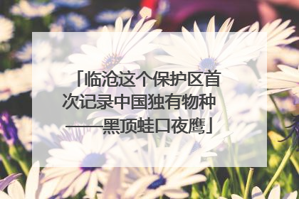 临沧这个保护区首次记录中国独有物种——黑顶蛙口夜鹰
