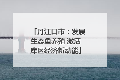 丹江口市：发展生态鱼养殖 激活库区经济新动能