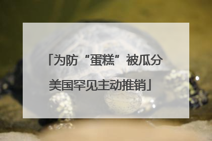 为防“蛋糕”被瓜分 美国罕见主动推销
