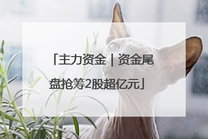主力资金｜资金尾盘抢筹2股超亿元