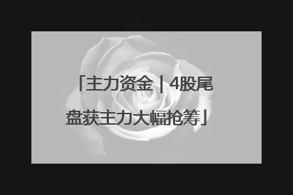 主力资金｜4股尾盘获主力大幅抢筹