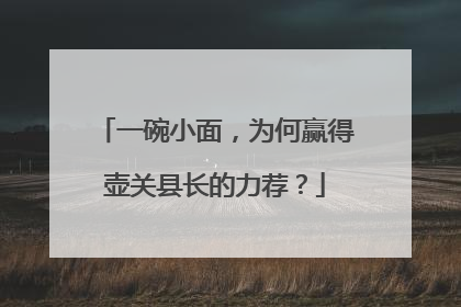 一碗小面，为何赢得壶关县长的力荐？