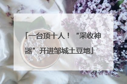 一台顶十人！“采收神器”开进邹城土豆地
