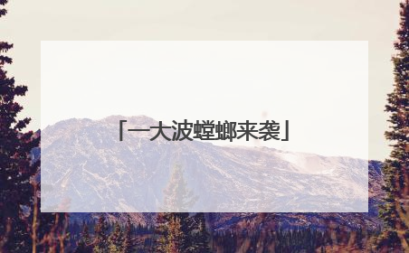 一大波螳螂来袭
