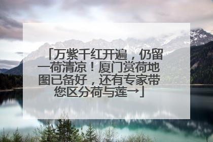 万紫千红开遍，仍留一荷清凉！厦门赏荷地图已备好，还有专家带您区分荷与莲→
