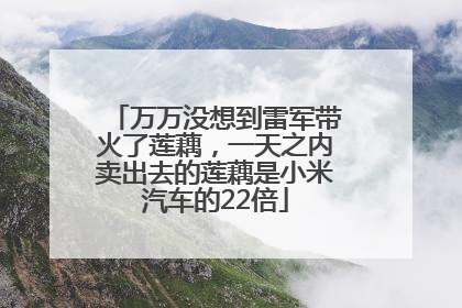 万万没想到雷军带火了莲藕，一天之内卖出去的莲藕是小米汽车的22倍