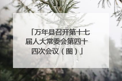 万年县召开第十七届人大常委会第四十四次会议（图）