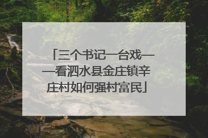 三个书记一台戏——看泗水县金庄镇辛庄村如何强村富民