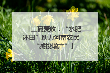 三夏麦收：“水肥还田”助力河南农民“减投增产”