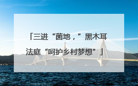 三进“菌地，”黑木耳法庭“呵护乡村梦想”