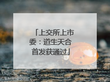上交所上市委：道生天合首发获通过