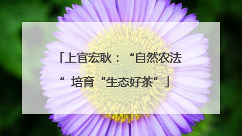 上官宏耿：“自然农法”培育“生态好茶”