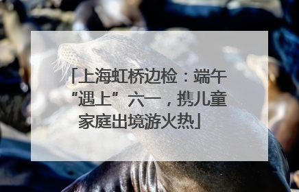 上海虹桥边检：端午“遇上”六一，携儿童家庭出境游火热