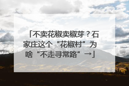 不卖花椒卖椒芽？石家庄这个“花椒村”为啥“不走寻常路”→