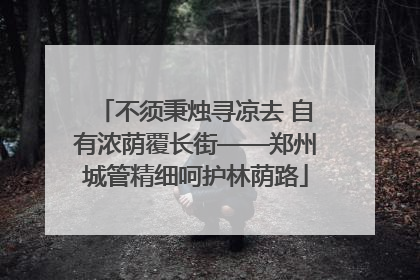 不须秉烛寻凉去 自有浓荫覆长街——郑州城管精细呵护林荫路