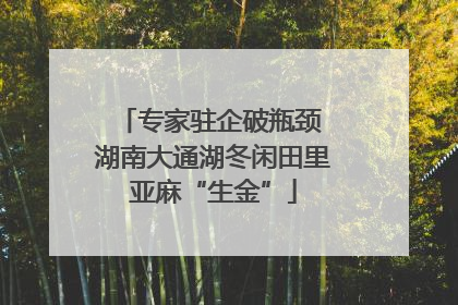 专家驻企破瓶颈 湖南大通湖冬闲田里亚麻“生金”
