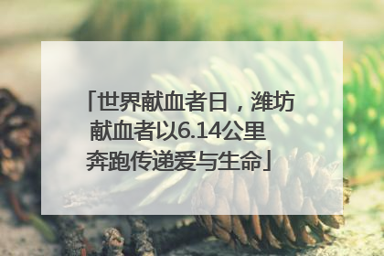 世界献血者日，潍坊献血者以6.14公里奔跑传递爱与生命