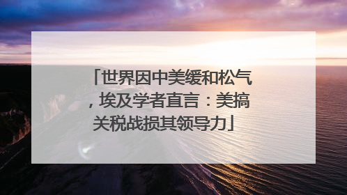 世界因中美缓和松气，埃及学者直言：美搞关税战损其领导力