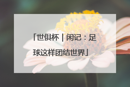 世俱杯｜闲记：足球这样团结世界