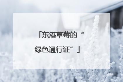 东港草莓的“绿色通行证”