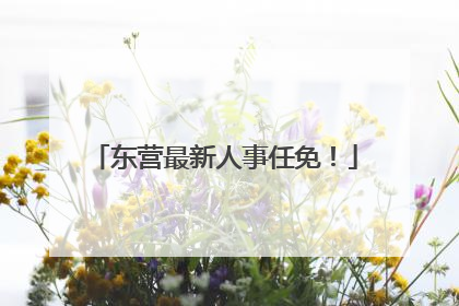 东营最新人事任免！