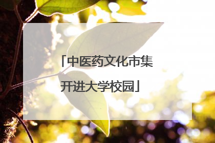 中医药文化市集开进大学校园