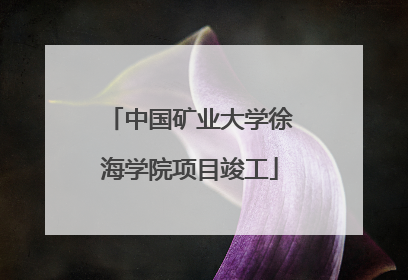 中国矿业大学徐海学院项目竣工