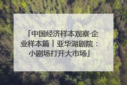 中国经济样本观察·企业样本篇︱亚华湖剧院：小剧场打开大市场