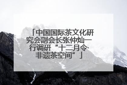 中国国际茶文化研究会副会长张仲灿一行调研“十二月令·非遗茶空间”