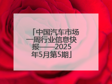 中国汽车市场一周行业信息快报——2025年5月第5期