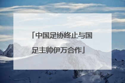 中国足协终止与国足主帅伊万合作