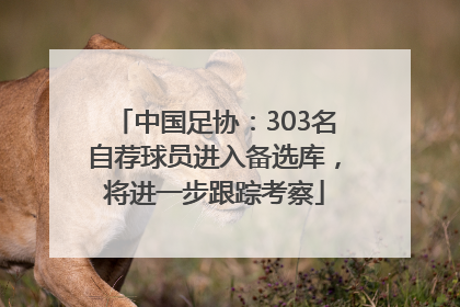 中国足协：303名自荐球员进入备选库，将进一步跟踪考察